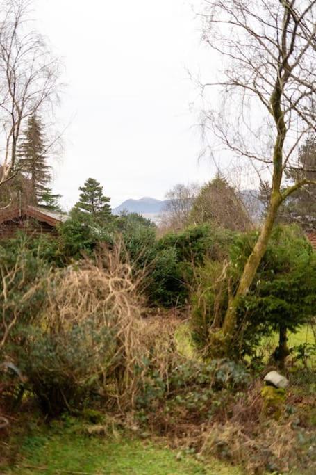 Cozy Norwegian Style Log Cabin In Rural Snowdonia - 2 Bedrooms & Parking By Seren Short Stays Ffestiniog Exteriér fotografie