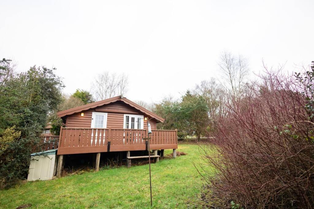 Cozy Norwegian Style Log Cabin In Rural Snowdonia - 2 Bedrooms & Parking By Seren Short Stays Ffestiniog Exteriér fotografie